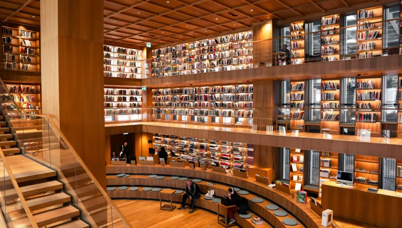 Unequal Access, Unequal Science: How Paywalls Are Fracturing the American Research Ecosystem